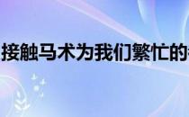 接触马术为我们繁忙的都市生活增添一抹阳光