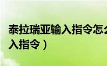 泰拉瑞亚输入指令怎么用（泰拉瑞亚在哪里输入指令）