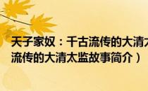 天子家奴：千古流传的大清太监故事（关于天子家奴：千古流传的大清太监故事简介）