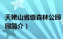 天姥山省级森林公园（关于天姥山省级森林公园简介）