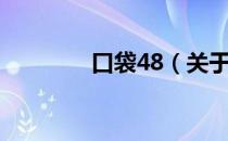 口袋48（关于口袋48介绍）