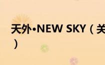 天外·NEW SKY（关于天外·NEW SKY简介）