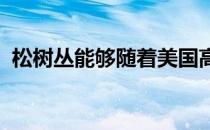 松树丛能够随着美国高尔夫的发展成长起来