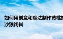 如何用创意和魔法制作黄桃奶茶——如何用创意和魔法制作沙狼饲料