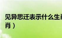 见异思迁表示什么生肖（见异思迁比喻什么生肖）