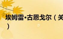 埃姆雷·古恩戈尔（关于埃姆雷·古恩戈尔简介）