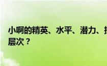 小啊的精英、水平、潜力、技能、信任度有哪些推荐的培养层次？