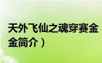 天外飞仙之魂穿赛金（关于天外飞仙之魂穿赛金简介）