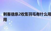 刺客信条2收集羽毛有什么用 -刺客信条中的诅咒武器有什么用 