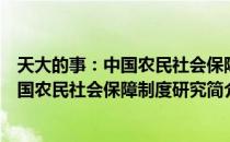 天大的事：中国农民社会保障制度研究（关于天大的事：中国农民社会保障制度研究简介）