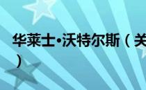 华莱士·沃特尔斯（关于华莱士·沃特尔斯简介）