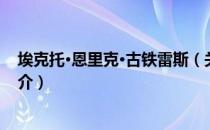 埃克托·恩里克·古铁雷斯（关于埃克托·恩里克·古铁雷斯简介）