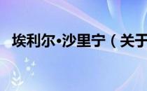 埃利尔·沙里宁（关于埃利尔·沙里宁简介）