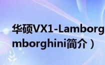 华硕VX1-Lamborghini（关于华硕VX1-Lamborghini简介）