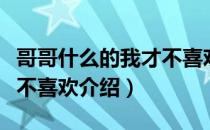 哥哥什么的我才不喜欢（关于哥哥什么的我才不喜欢介绍）