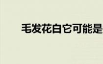 毛发花白它可能是世界上最年长的马