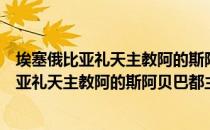 埃塞俄比亚礼天主教阿的斯阿贝巴都主教区（关于埃塞俄比亚礼天主教阿的斯阿贝巴都主教区简介）