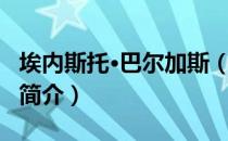 埃内斯托·巴尔加斯（关于埃内斯托·巴尔加斯简介）