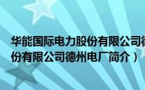 华能国际电力股份有限公司德州电厂（关于华能国际电力股份有限公司德州电厂简介）