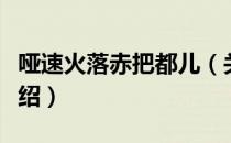 哑速火落赤把都儿（关于哑速火落赤把都儿介绍）