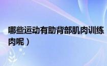 哪些运动有助背部肌肉训练（什么运动能够帮助锻炼背部肌肉呢）