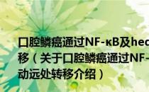 口腔鳞癌通过NF-κB及hedgehog与微环境对话启动远处转移（关于口腔鳞癌通过NF-κB及hedgehog与微环境对话启动远处转移介绍）