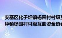 安塞区化子坪镇杨园村村级互助资金协会（关于安塞区化子坪镇杨园村村级互助资金协会介绍）