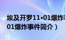 埃及开罗11·01爆炸事件（关于埃及开罗11·01爆炸事件简介）