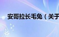 安哥拉长毛兔（关于安哥拉长毛兔介绍）