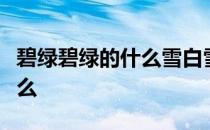 碧绿碧绿的什么雪白雪白的什么火红火红的什么