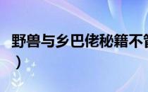 野兽与乡巴佬秘籍不管用（野兽与乡巴佬秘籍）