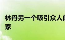 林丹另一个吸引众人的话题是他到底有多少身家