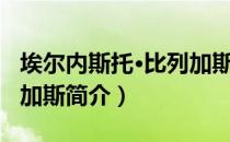 埃尔内斯托·比列加斯（关于埃尔内斯托·比列加斯简介）