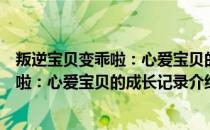 叛逆宝贝变乖啦：心爱宝贝的成长记录（关于叛逆宝贝变乖啦：心爱宝贝的成长记录介绍）