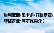 埃利亚斯·里卡多·菲格罗亚·席尔瓦（关于埃利亚斯·里卡多·菲格罗亚·席尔瓦简介）