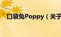 口袋兔Poppy（关于口袋兔Poppy介绍）