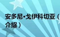 安多尼·戈伊科切亚（关于安多尼·戈伊科切亚介绍）