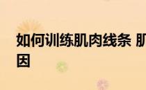 如何训练肌肉线条 肌肉线条不明显的两大原因