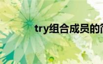 try组合成员的简介（try组合）