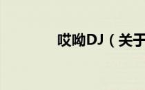 哎呦DJ（关于哎呦DJ介绍）