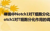 哮喘中Notch1对T细胞分化作用的调控研究（关于哮喘中Notch1对T细胞分化作用的调控研究介绍）