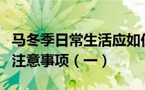 马冬季日常生活应如何保障一起看一下其他的注意事项（一）