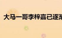 大马一哥李梓嘉已逐渐成熟场上有大将之风