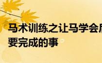 马术训练之让马学会后退应该是在训练初期就要完成的事