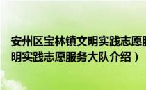 安州区宝林镇文明实践志愿服务大队（关于安州区宝林镇文明实践志愿服务大队介绍）