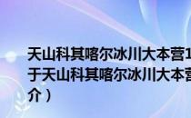 天山科其喀尔冰川大本营10m气象塔2012年观测数据（关于天山科其喀尔冰川大本营10m气象塔2012年观测数据简介）