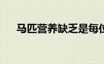 马匹营养缺乏是每位马主都需要注意的