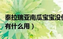 泰拉瑞亚南瓜宝宝没作用（泰拉瑞亚南瓜娃娃有什么用）