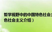 哲学视野中的中国特色社会主义（关于哲学视野中的中国特色社会主义介绍）