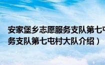 安家堡乡志愿服务支队第七屯村大队（关于安家堡乡志愿服务支队第七屯村大队介绍）